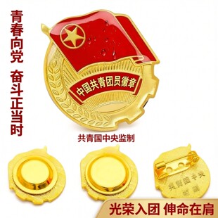2.0CM中国共青团员徽章 标准团员青春向党徽章团别针款胸章磁扣款
