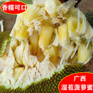 广西湿苞菠萝蜜新鲜榴莲菠萝蜜软糯手撕湿包菠萝蜜木菠萝树菠萝