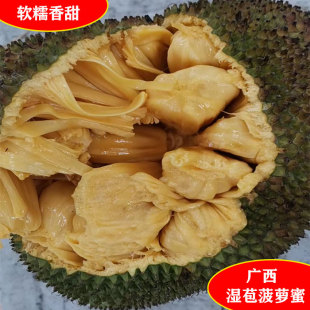 广西湿苞菠萝蜜新鲜榴莲菠萝蜜软糯手撕湿包菠萝蜜木菠萝树菠萝