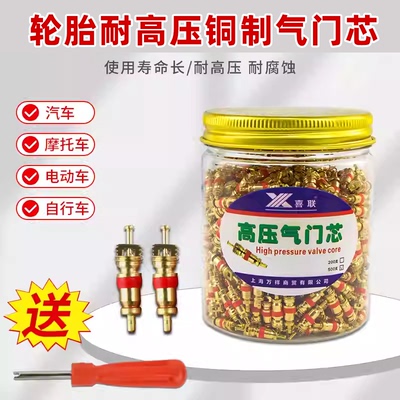 汽车电动车摩托车通用型气门芯