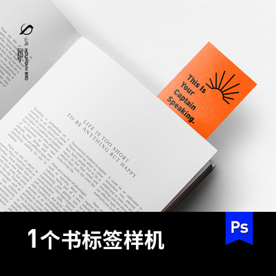 书籍与书签卡片智能贴图文创样机VI模板标签展示效果PSD素材