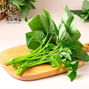 新鲜地瓜叶食用地瓜叶苗红薯叶嫩尖芋头叶500g江浙沪满五件包邮