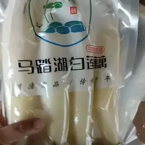 新鲜马踏湖水果藕生吃脆口凉菜
