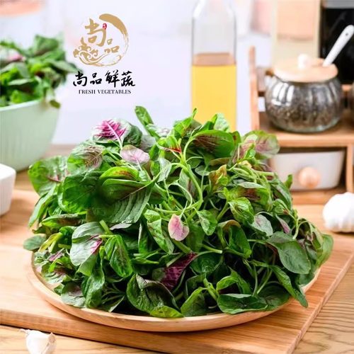 新鲜红苋菜红米苋野菜鲜嫩可口