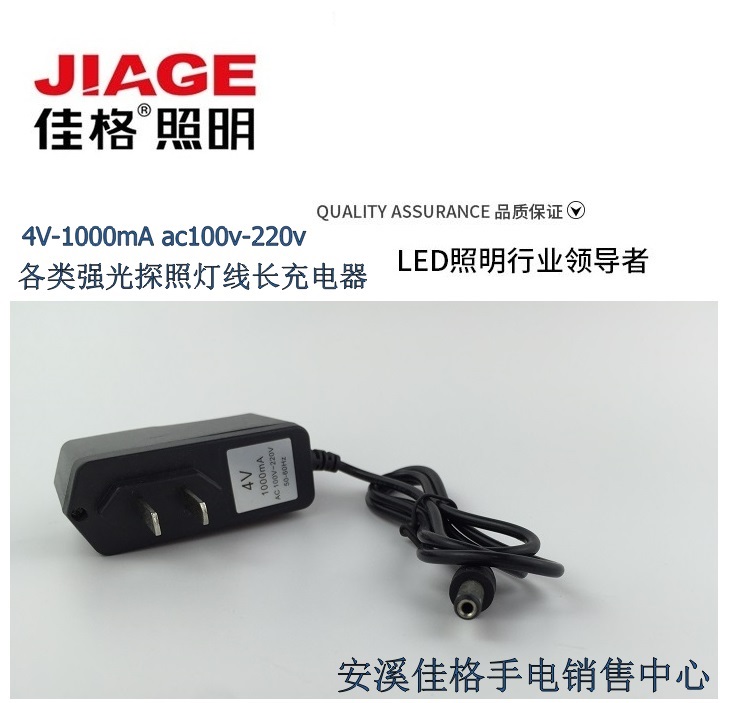 佳格4V 1000mA ac100V-200V50-60Hz直充线充充电器