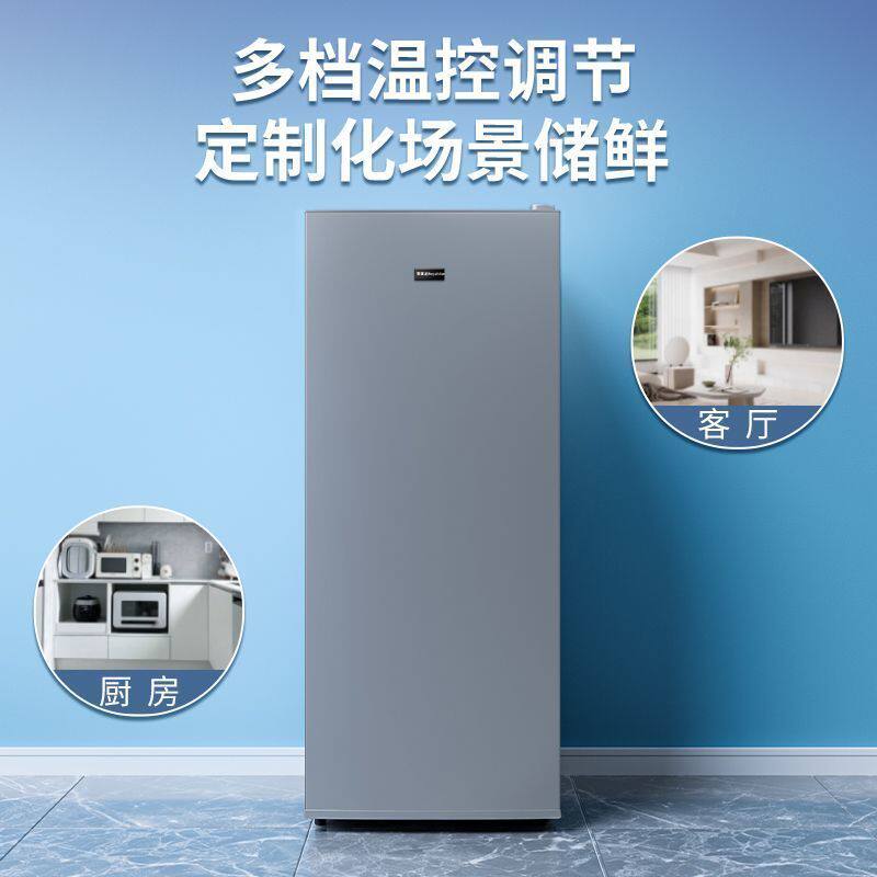 荣事达立式冰柜家用小型冷柜超低温全冷冻立体大容量节能抽屉冰箱