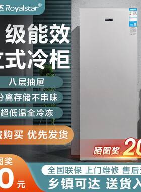 荣事达立式冰柜家用小型抽屉式全冷冻节能冷柜急冻迷你小单门冰箱