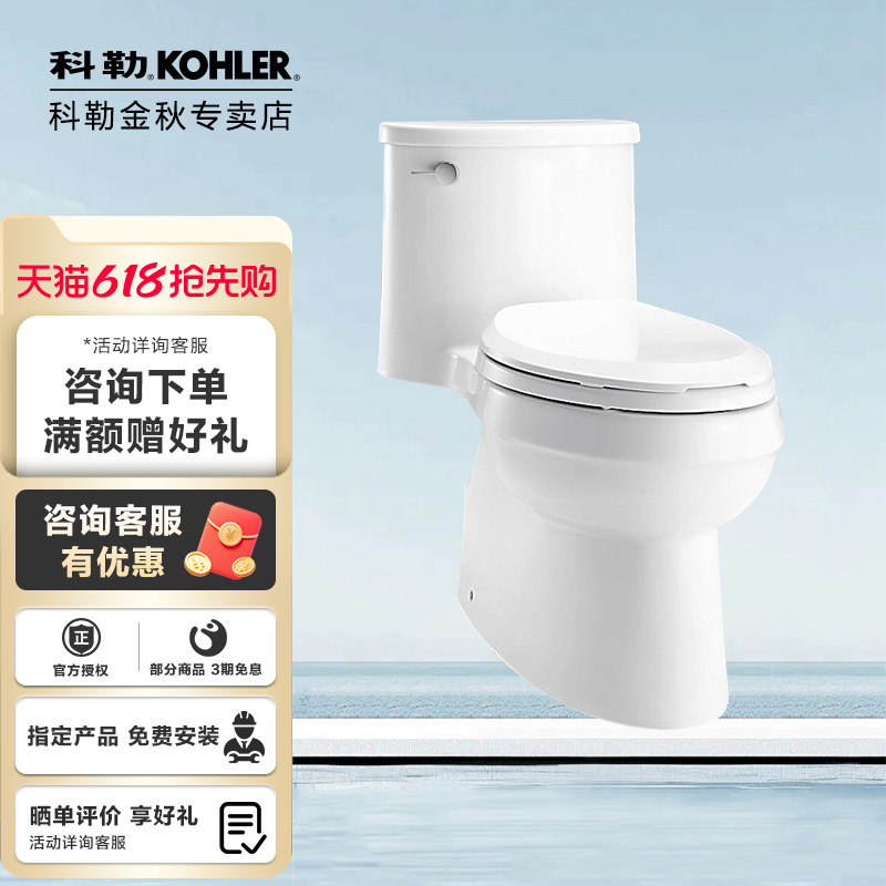 科勒马桶坐便器艾黛儿4.2L五级旋风连体全包坐厕K-5171T缓降