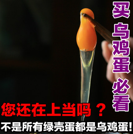 36枚黑垚乌骨鸡蛋农家纯粮散养绿壳乌鸡蛋新鲜有机初生柴草土鸡蛋