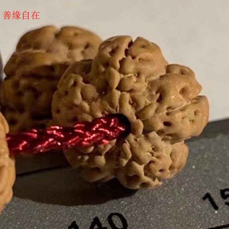 108颗梅花双龙矮桩原籽爆肉手串