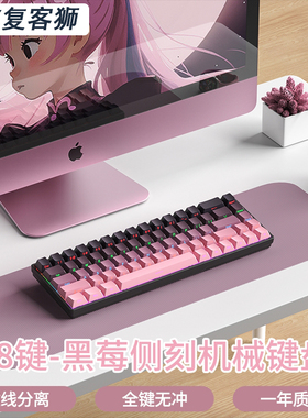 F68单模机械键盘全键无冲有线便携笔记本电脑办公游戏青轴红轴