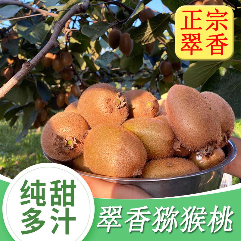 【官方推荐】正宗翠香猕猴桃！