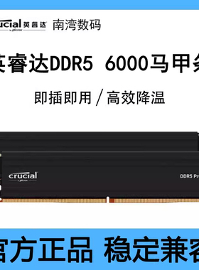 英睿达内存条DDR5 6000 16Gx2/24Gx2套装超频Pro马甲条美光颗粒AI