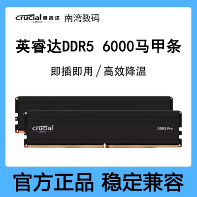 英睿达内存条DDR5600016Gx2