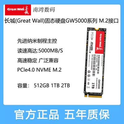 长城固态硬盘M.2GW5000512G