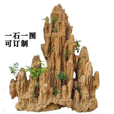 吸水石天然原石绿植假山订制款精品上水石盆景庭院流水景观石包邮