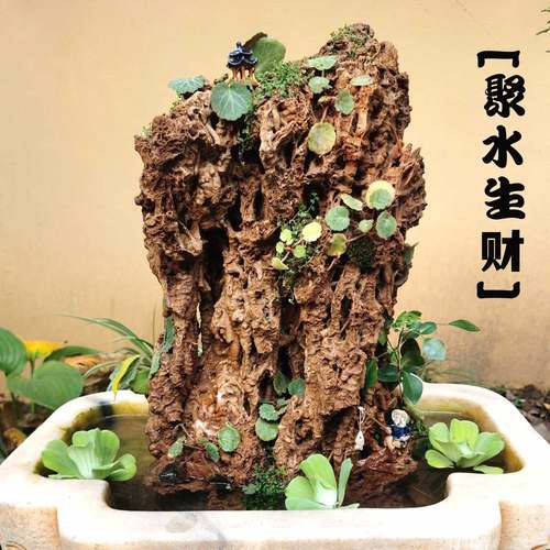 天然造型上水石石质好吸水性能好