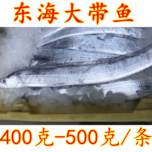 5斤装6条大带鱼 小眼睛东海大带鱼浏河海鲜鱼刀鱼 整条发货