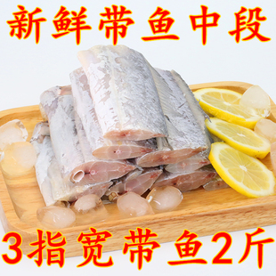 浏河船家码头货 正品东海精品冷冻品油带鱼段全中段1000g一袋