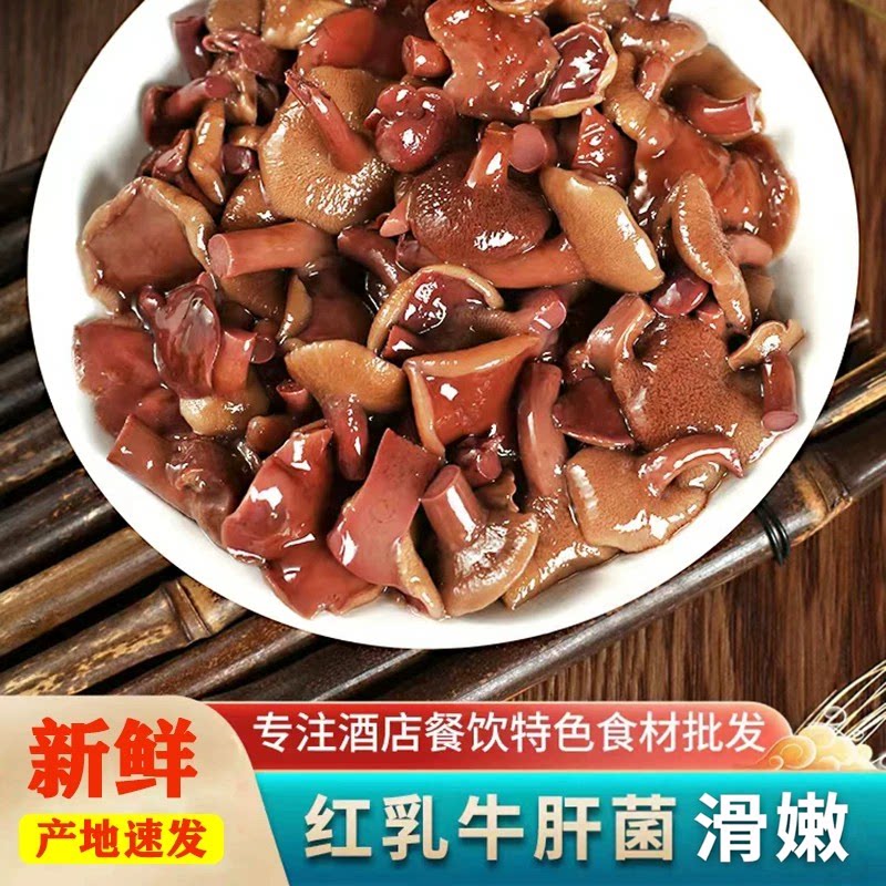红乳牛肝菌野生食用菌菇云南特产新鲜火锅食材餐厅蘑菇滑嫩餐厅用