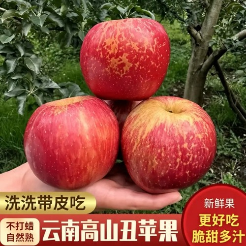 云南高山新鲜野生丑苹果新鲜孕妇水果苹果脆甜当季苹果整箱