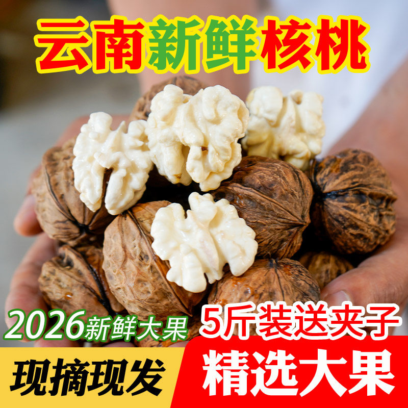 2026年新鲜生核桃云南新鲜核桃湿核桃现货农家生核桃孕妇核桃薄皮