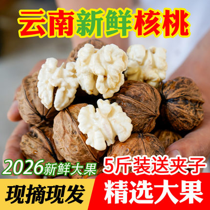 2026年新鲜生核桃云南新鲜核桃湿核桃现货农家生核桃孕妇核桃薄皮