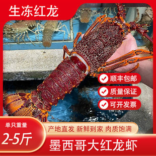 澳洲红龙虾新鲜速冻墨西哥生冻大红龙海鲜澳龙龙虾冷冻水产