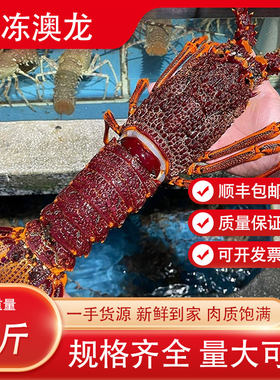 特大澳洲红龙速冻锁鲜顺丰包邮
