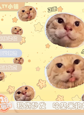 圆头耄耋w嘴馒头抱枕可爱搞怪猫咪坐垫学生宿舍神器抽象生日礼物