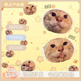 圆头耄耋w嘴馒头抱枕可爱搞怪猫咪坐垫学生宿舍神器抽象生日礼物