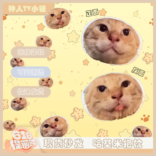 圆头耄耋w嘴馒头抱枕可爱搞怪猫咪坐垫学生宿舍神器抽象生日礼物