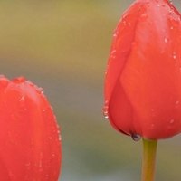 直播扣号图 随便拍了无效。