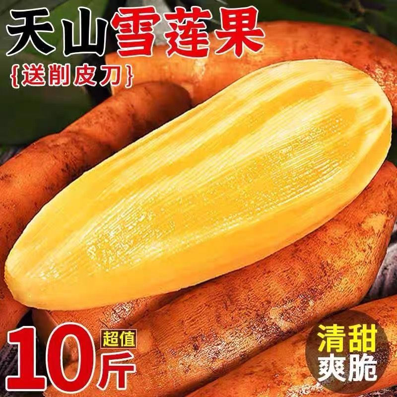云南天山红心雪莲果低糖脆甜新鲜水果黄当季孕妇大果现挖一级