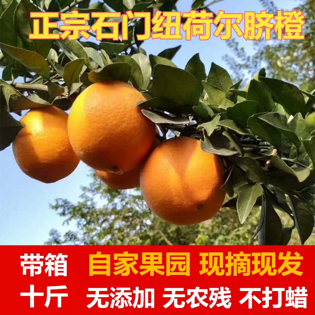 寻乌甜橙子孕妇新鲜水果