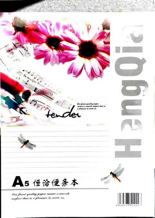 恒洽便条本5本 A5 50页 备忘本留言本 记事本便笺本商务贴