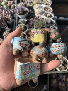 手工盆 挑盆喊我一声 高温盆 1200-1400度物一拍多肉植物 多肉