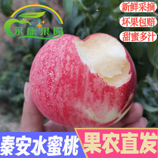 秦安水蜜桃甘肃白凤桃新鲜采摘水果可剥皮当季孕妇整箱5斤包邮