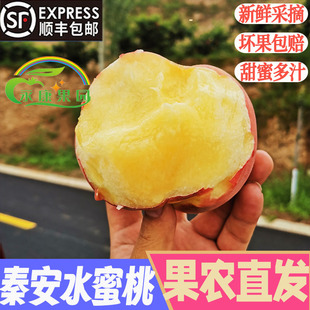 秦安北京7号水蜜桃礼盒装孕妇小孩当季整箱新鲜水果甘肃桃天水桃