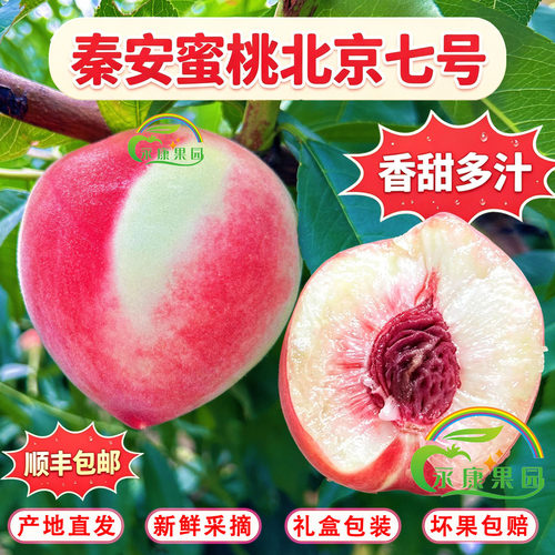 秦安水蜜桃北京7号天水白凤桃