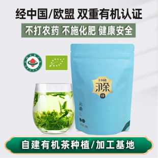 2025年新茶毛峰菊泰菊泰有机茶 1468滁茶云桑绿茶50g袋装