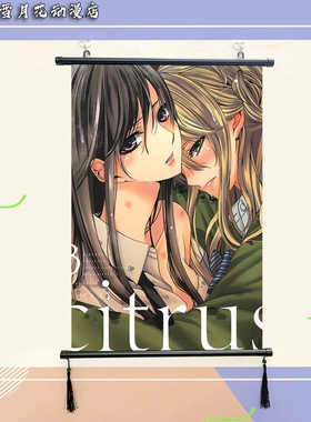 citrus 柑橘味香气 周边海报挂画宿舍寝室装饰画挂布画来图定制