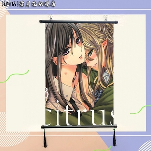 citrus 柑橘味香气 周边海报挂画宿舍寝室装饰画挂布画来图定制
