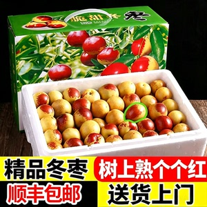 【自然熟个个带红】顺丰大荔冬枣