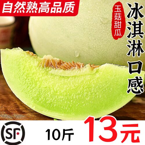 正宗山东自家果园玉菇甜瓜