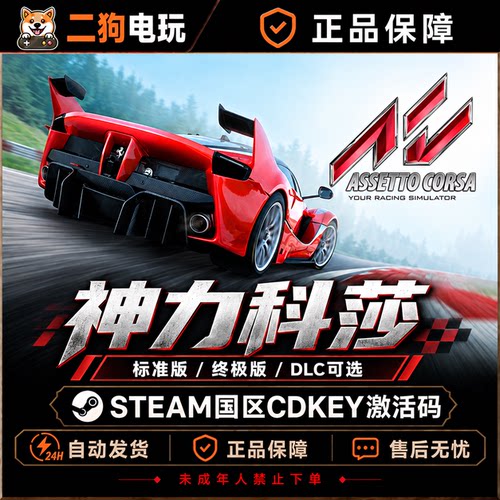 steam游戏 神力科莎 Assetto Corsa 国区正版游戏激活码CDK