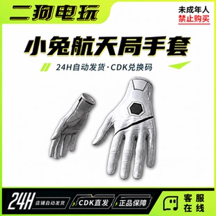 STEAM绝地求生PUBG小兔航天局手套绝地求生CDK兑换码