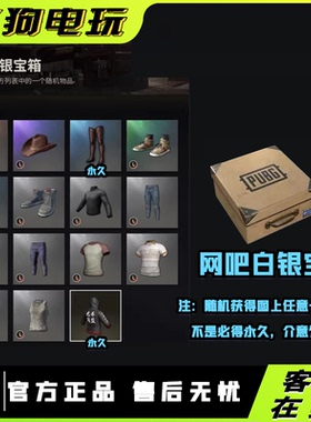 PUBG网吧白银宝箱CDK绝地求生兄弟同盟外套吃鸡锦鲤丝袜兑换码