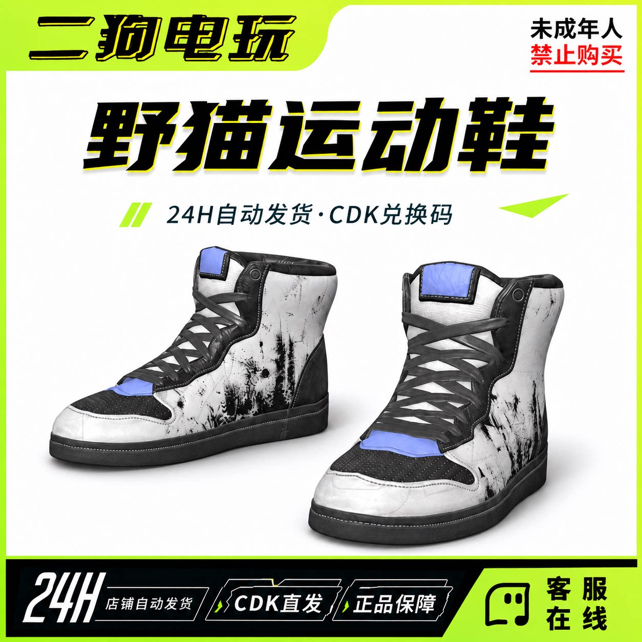 STEAM绝地求生PUBG野猫运动鞋绝地求生CDK兑换码