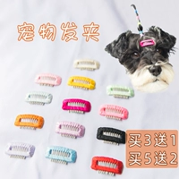 Собачья волос clip pet bb cruct hair clip sharnesonia malzis cute mini solid color Headgear
